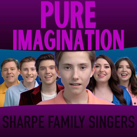 Pure Imagination