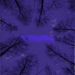 Void