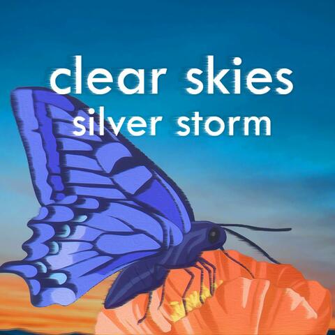 Silver Storm