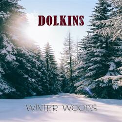 Winter Woods