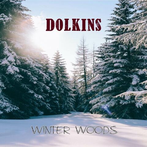 Winter Woods