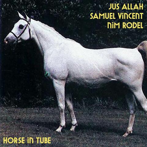Horse in Tube