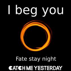 I Beg You (Fate Stay Night)