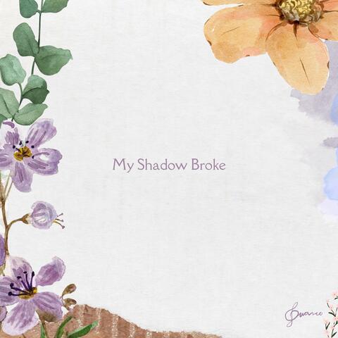 My Shadow Broke