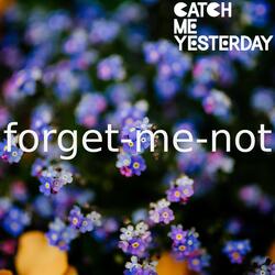 Forget Me Not (Sword Art Online: Alicization)