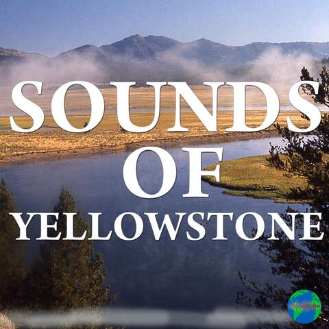 Sounds of Yellowstone