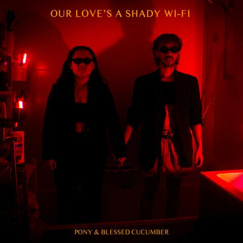 Our Love's A Shady Wifi