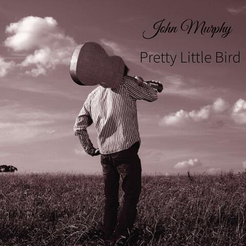 Pretty Little Bird