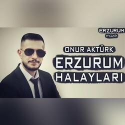 Erzurum Halayları