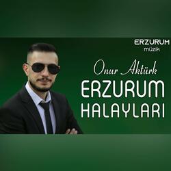 Erzurum Halayları