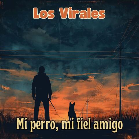 Mi perro, mi fiel amigo
