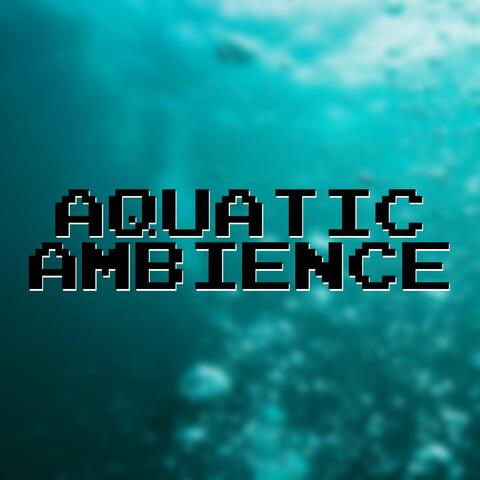 Aquatic Ambience (From “Donkey Kong Country”)