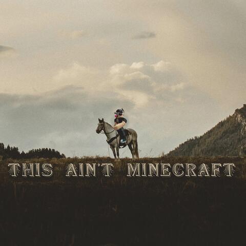 This Ain't Minecraft