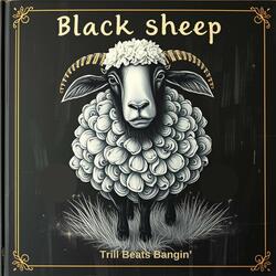 Black Sheep