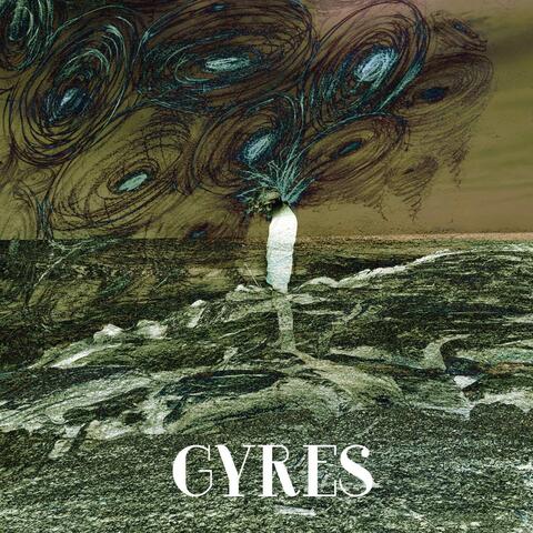 Gyres