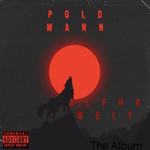 Alpha Wolf