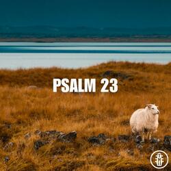 Psalm 23 - Acoustic Instrumental