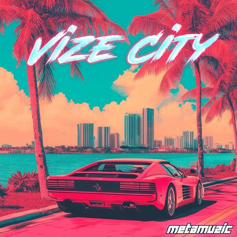 Vize City