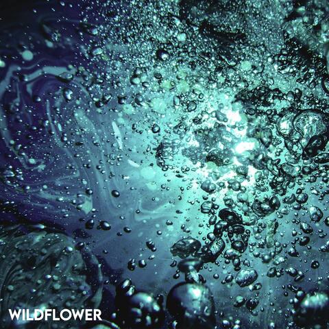 Wildflower