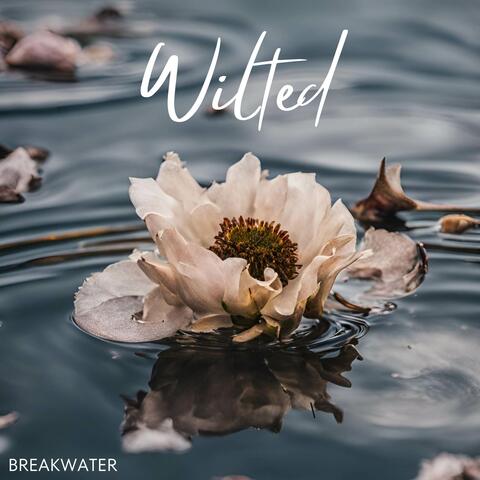Wilted