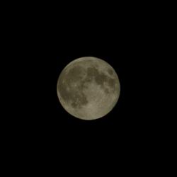Lunar Poetry