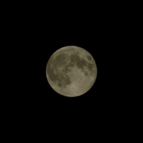 Lunar Poetry