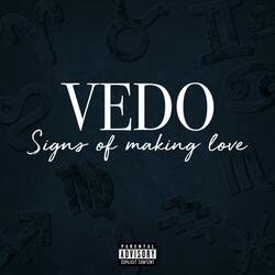 Signs Of Love Making (V-Mix)