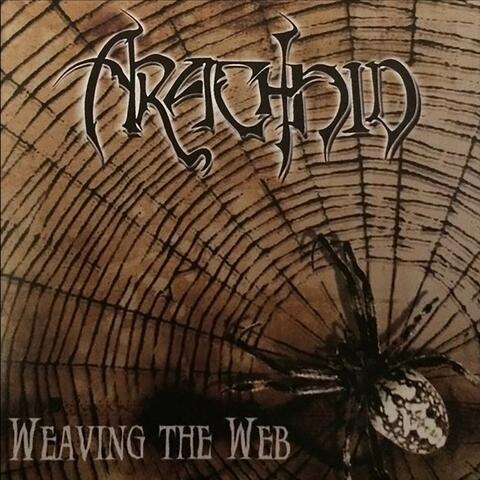 Weaving the Web