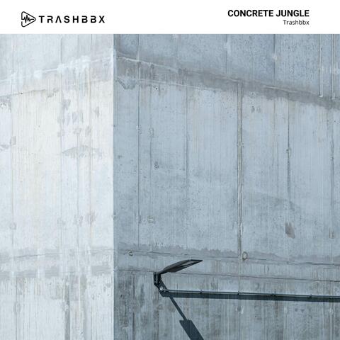 Concrete Jungle