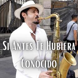 Si Antes Te Hubiera Conocido