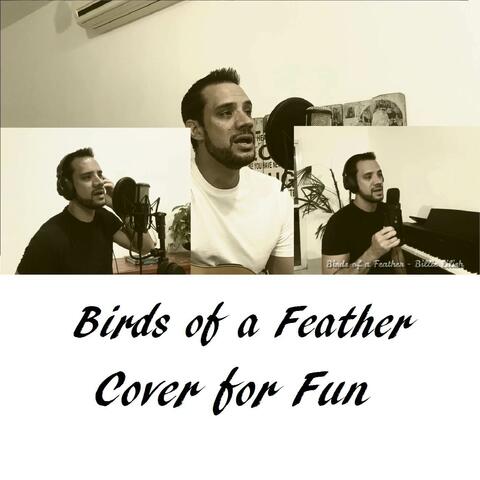 Birds of a Feather
