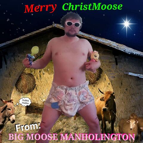 Merry Christmoose