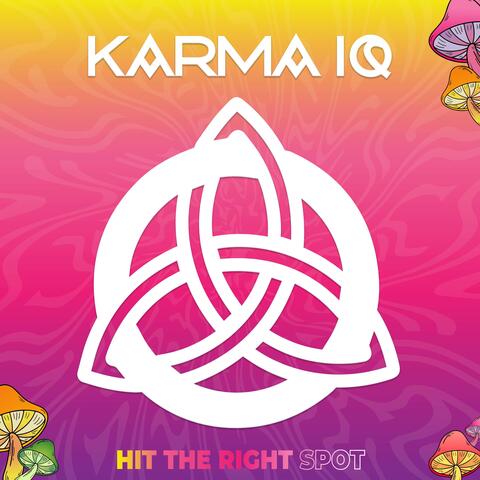 Karma IQ