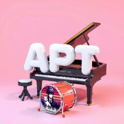 APT 8bit