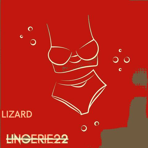 LINGERIE22