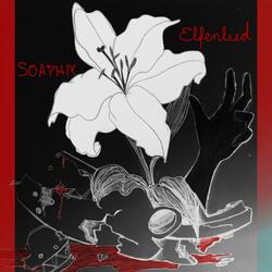 Lilium (from Elfenlied)
