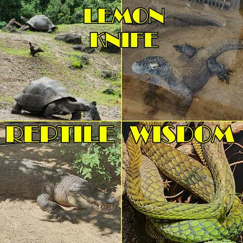Reptile Wisdom