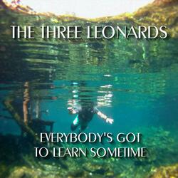 Everybody's Got To Learn Sometime