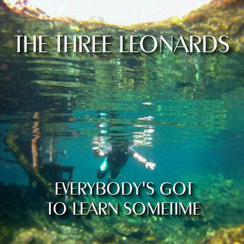 Everybody's Got To Learn Sometime