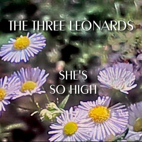 She's So High