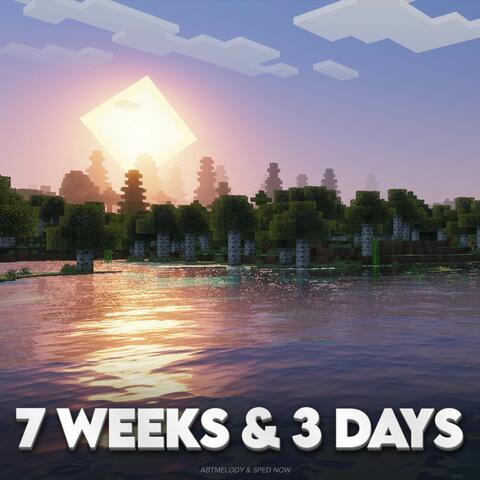 7 Weeks & 3 Days