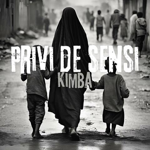 Privi de sensi