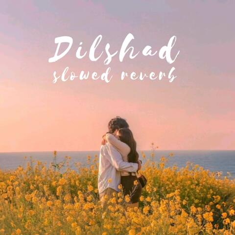 Dilshad slowed
