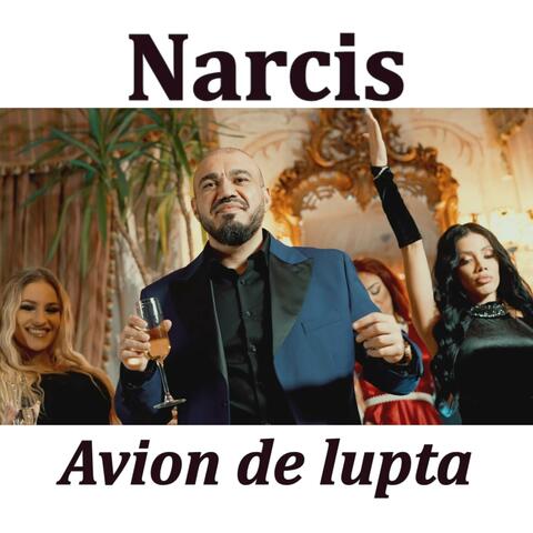 Avion de lupta