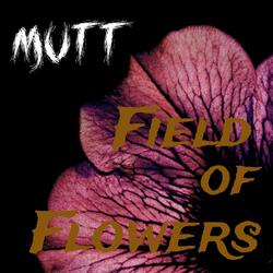 Field of Flowers