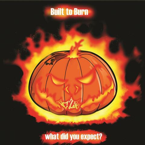 What Did You Expect?