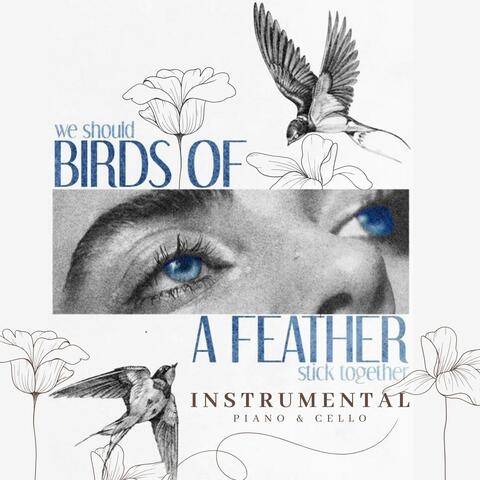 BIRDS OF A FEATHER - Piano & Cello Version