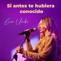 Si antes te hubiera conocido