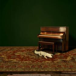 ALLIGATOR BITES NEVER HEAL