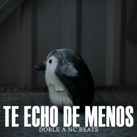 Te Echo De Menos